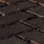 Paving Tiles Installation: Essential Tips for Quality Results